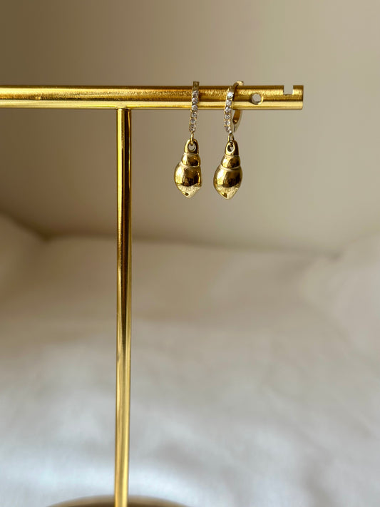 Dainty Conch Drops