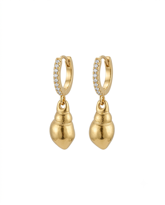 Dainty Conch Drops